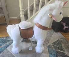 Ponycycle