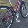 Girl's Bicycle and Accessories Image 4