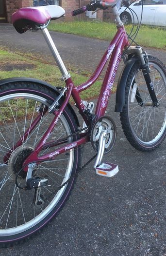 Girl's Bicycle and Accessories