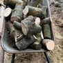 Fire wood Image 2
