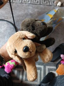 Keel Toys Basil Chocolate Brown Labrador Dog Laying Soft Plush Toy  Puppy