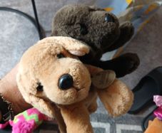 Keel Toys Basil Chocolate Brown Labrador Dog Laying Soft Plush Toy  Puppy