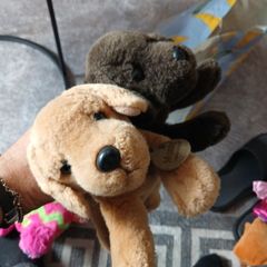 Keel Toys Basil Chocolate Brown Labrador Dog Laying Soft Plush Toy  Puppy