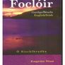 focloir dictionary Image 3