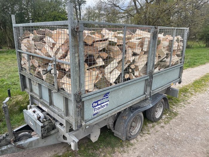 Ash Firewood