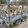 Ash Firewood Image 6