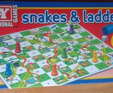 snakes and ladders game only used once