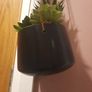 faux hanging plant Image 4