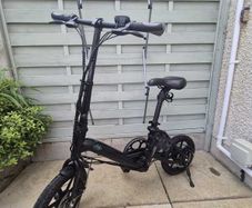 Fiido D3 Pro Electric Bike