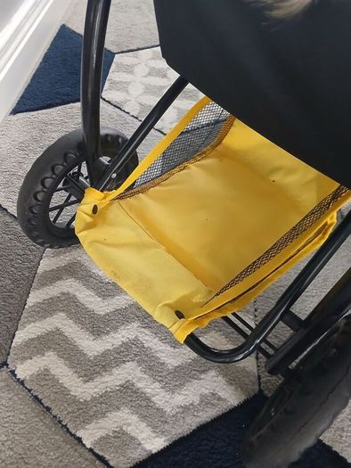 doll and buggy