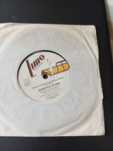 Bundle Of 20  X  7" Vinyl Singles ( All Irish Rock /indie)