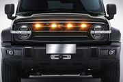 Decorative Lights, LED Ambient Auxiliary Lights,