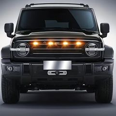 Decorative Lights, LED Ambient Auxiliary Lights,