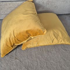 2 Cushions & Lampshade