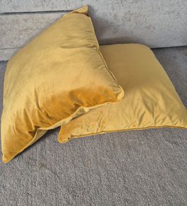 2 Cushions & Lampshade