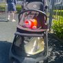 buggy Image 3