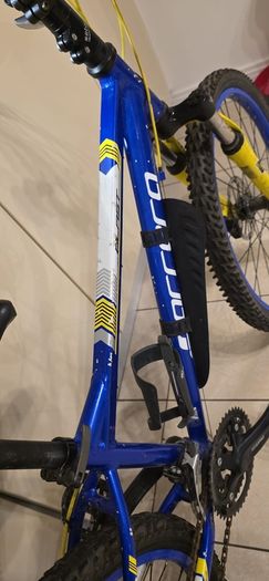 Carrera Bike