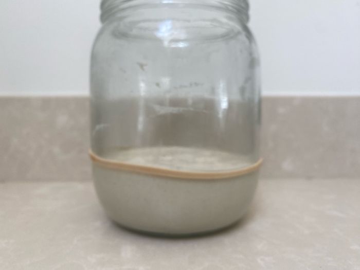 Sourdough starter Organic