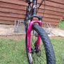 Girls Carrera Bike Image 6
