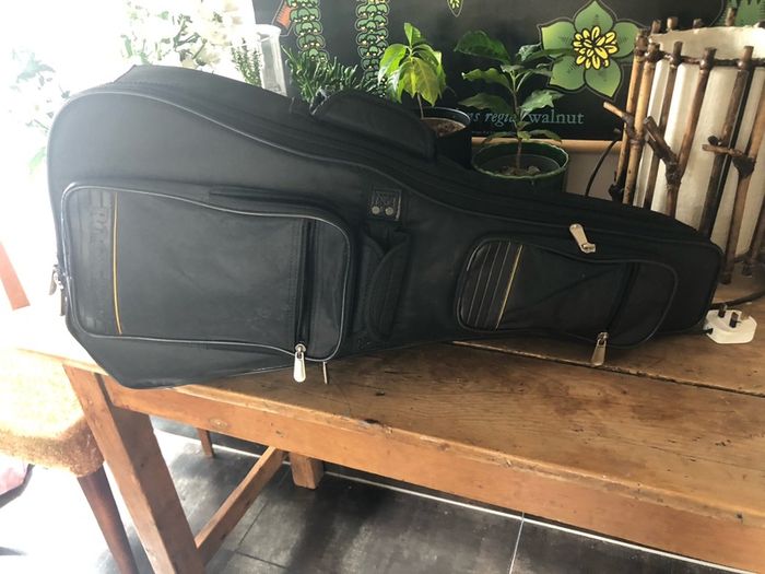 Rare Epiphone  VIII Mandobird ! (8 string mandolin)