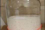 Sourdough Starter