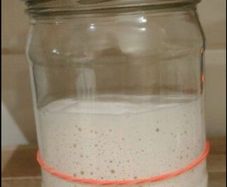 Sourdough Starter