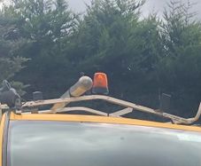 Van Roof Rack