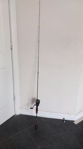 Fishing rod