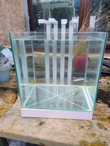 Fish tank