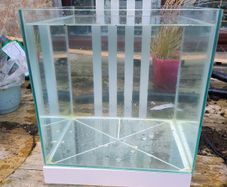 Fish tank