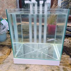 Fish tank