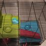 Dwarf hampster cage large Image 2
