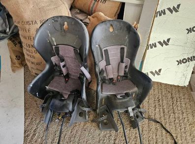 2 kids bike seats