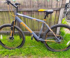 Boss bike