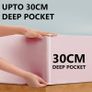 Cotton 300TC Hotel Quantity 30 cm Fitted Bedsheets Blush Pink, Double Image 3