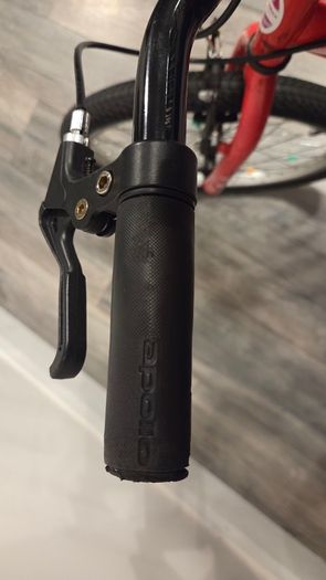 Apollo Envy 20 inch kids bike