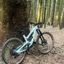 yt capra cf Image 3
