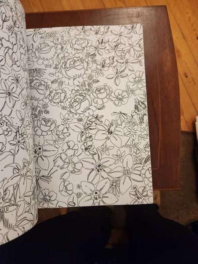 The Flowers And Nature Colouring Book.  Large Volume Paperback In Good Condition.