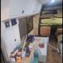 Campervan project for sale Image 4