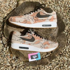Ultra Rare Nike Air Max 1 PRM