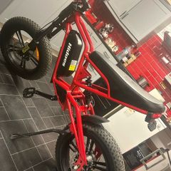 e bike