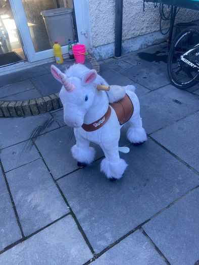 girls ride along pony