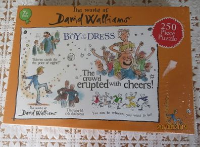 The boy in the dress puzzle