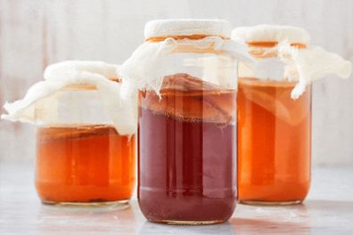 Kombucha Scooby