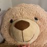 large teddy bear Image 5
