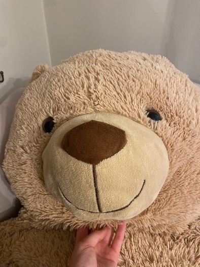 large teddy bear