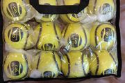 Sliotars X 12 NEW