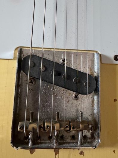 Bravewood Telecaster