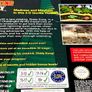 SNES Donkey Kong Country Boxed with Go Ape CD Image 6