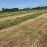 Silage bales Image 7